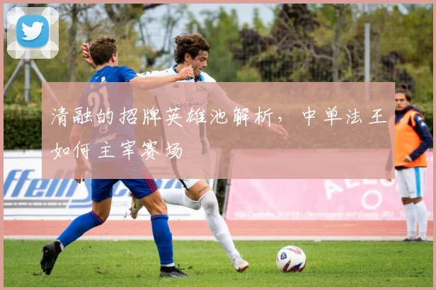 清融的招牌英雄池解析，中单法王如何主宰赛场