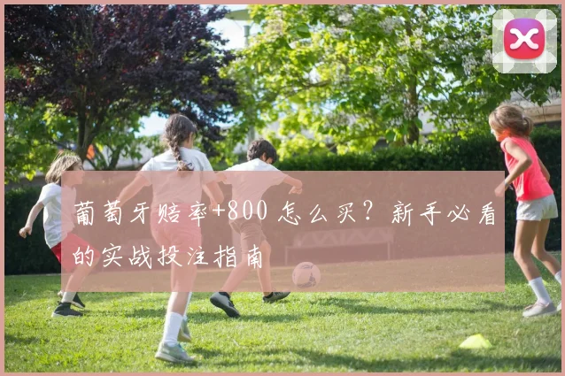 葡萄牙赔率+800 怎么买?新手必看的实战投注指南