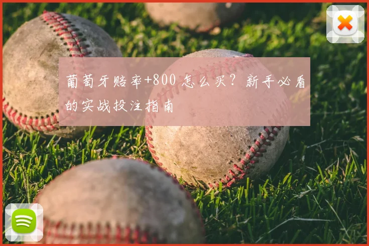 葡萄牙赔率+800 怎么买？新手必看的实战投注指南