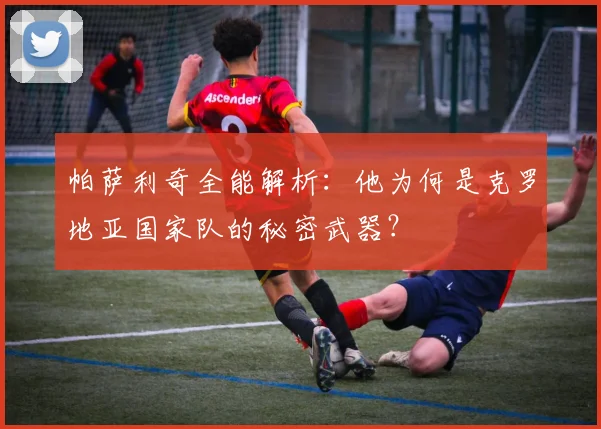 帕萨利奇全能解析:他为何是克罗地亚国家队的秘密武器?