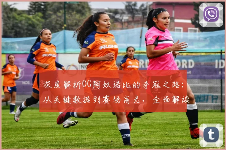 深度解析OG阿奴诺比的夺冠之路:从关键数据到赛场高光,全面解读他的决定性作用
